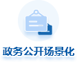 政务公开场景化