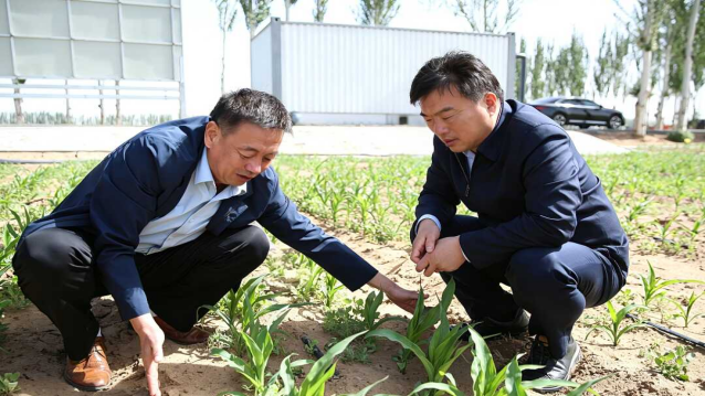 张鸿福在磴口县调研督导并接待来访群众相关图片