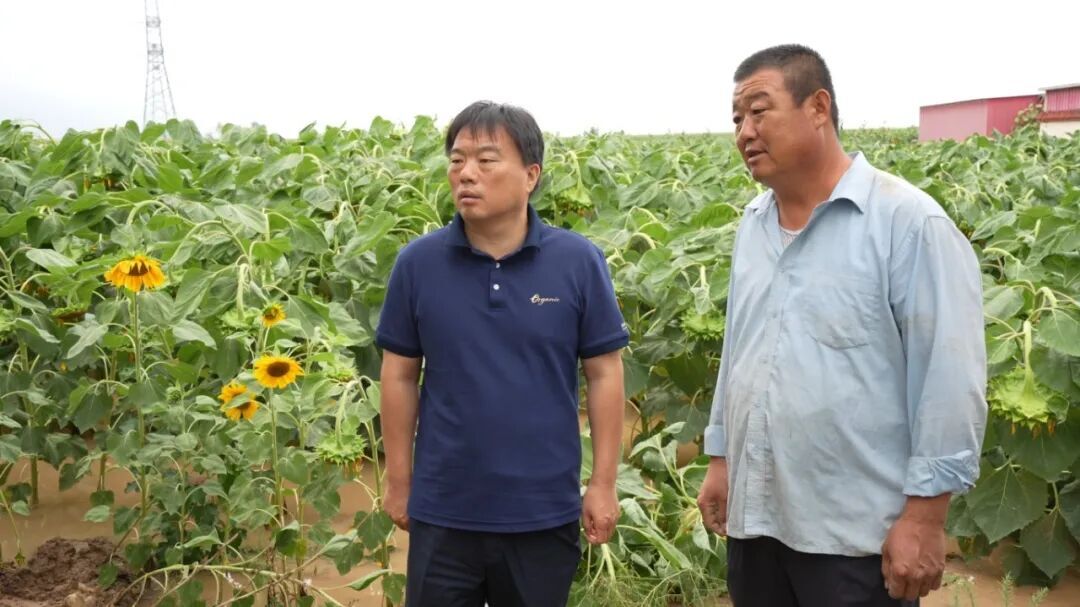 张鸿福在临河区调研督导防汛救灾工作相关图片
