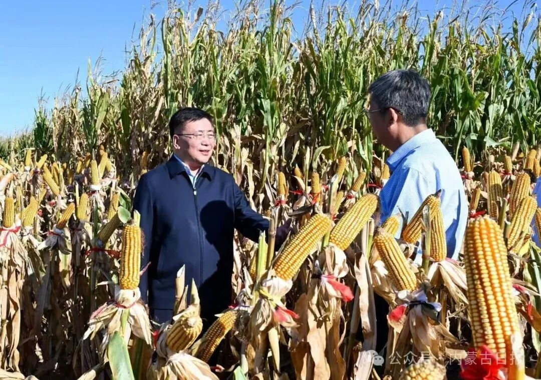 包钢在巴彦淖尔市调研相关图片
