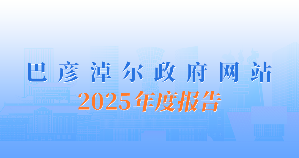 2025政府网站工作年报相关图片