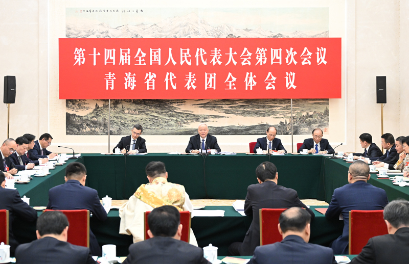 蔡奇在参加青海代表团审议时强调：牢固树立和践行正确政绩观 推动实现“十五五”良好开局